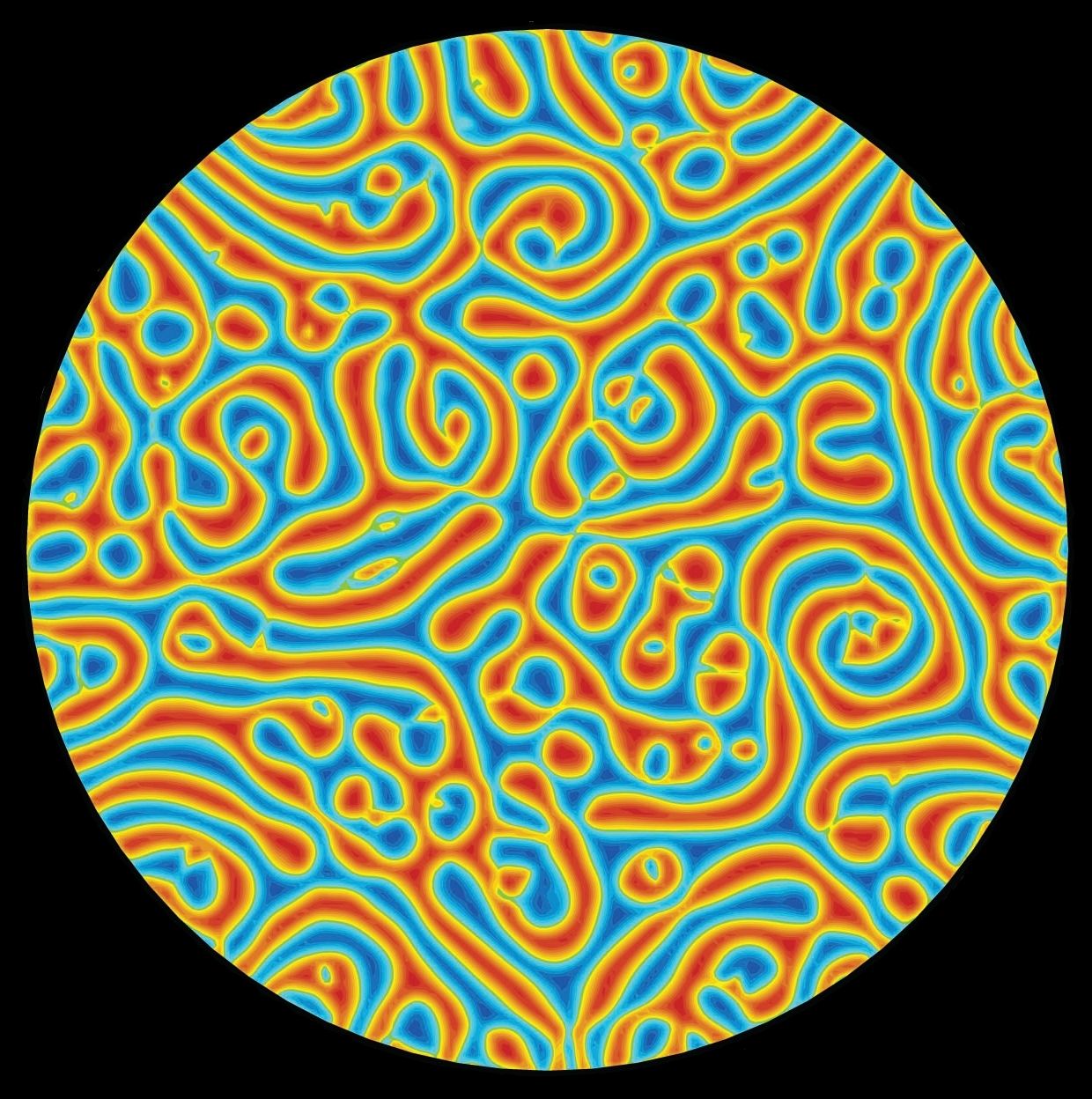 back-cover-picture-spiral-defect-chaos-simulation